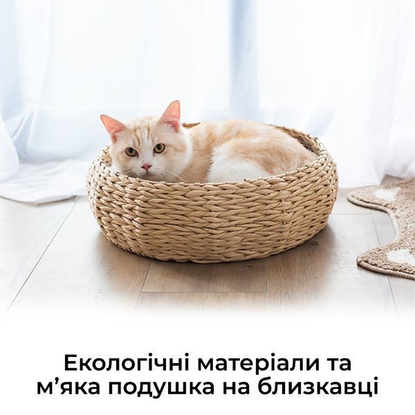 Плетеная лежанка для маленьких домашних животных EcoNest. Кровать для кота из натуральной лозы со съемной подушкой P021 фото