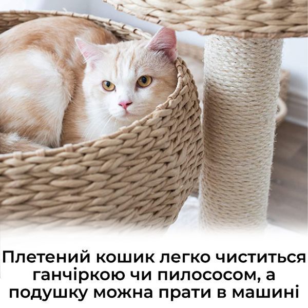 Плетеная лежанка для маленьких домашних животных EcoNest. Кровать для кота из натуральной лозы со съемной подушкой P021 фото